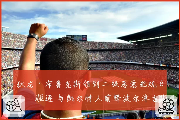 狄龙·布鲁克斯领到二级恶意犯规遭驱逐 与凯尔特人前锋波尔津吉斯爆发激烈口角