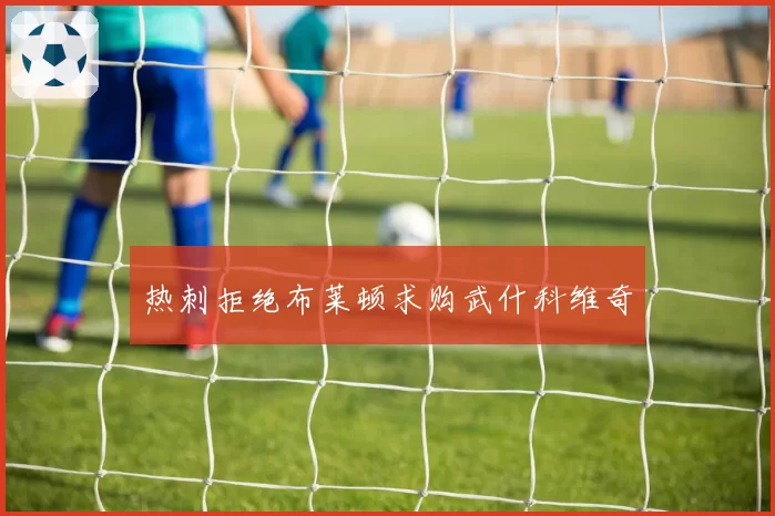热刺拒绝布莱顿求购武什科维奇