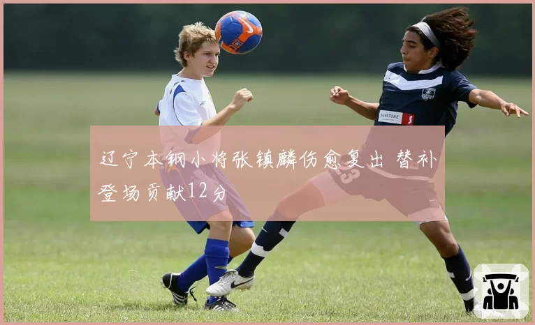 辽宁本钢小将张镇麟伤愈复出 替补登场贡献12分