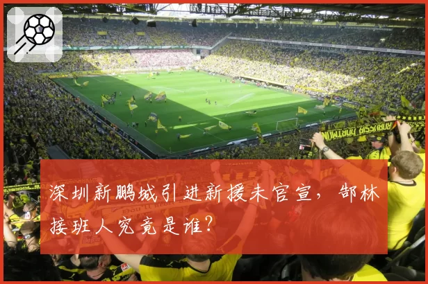 深圳新鹏城引进新援未官宣,郜林接班人究竟是谁?